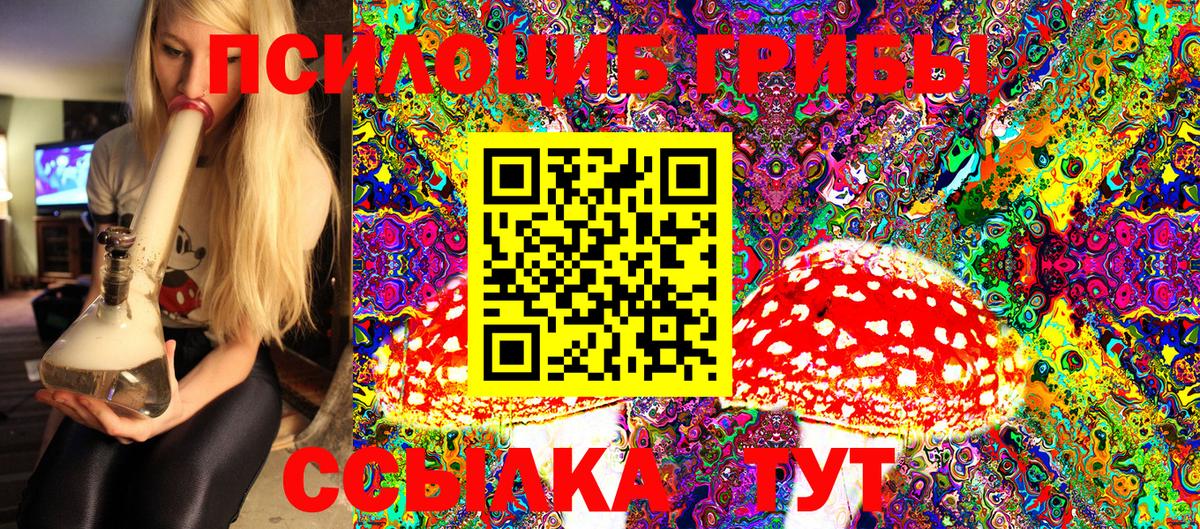 Дзержинский  Псилоцибиновые грибы Psilocybe  Вход с VPN  Псилоцибиновые грибы MAGIC MUSHROOMS 